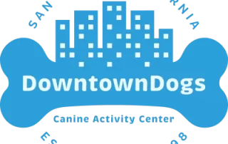 Downtown Dogs full color logo