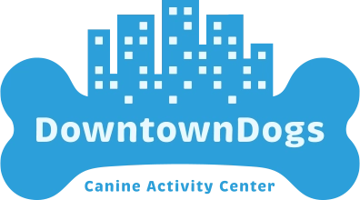 Downtown Dogs in San Jose, California blue logo