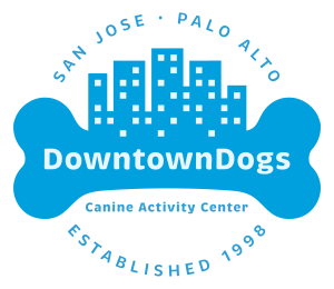Downtown Dogs Logo